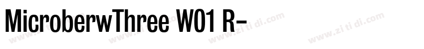 MicroberwThree W01 R字体转换